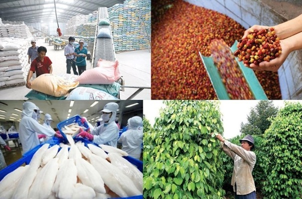Nâng quy mô tín dụng nông, lâm, thủy sản lên 185.000 tỷ đồng